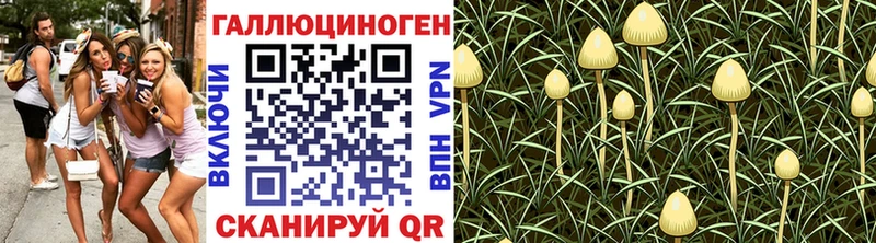 Псилоцибиновые грибы Psilocybe мориарти наркотические препараты Кубинка где найти наркотики